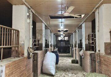 در حمله دشمن، مجموعه تاریخی فرح آباد و ساختمان فدراسیون چوگان آسیب دیدند