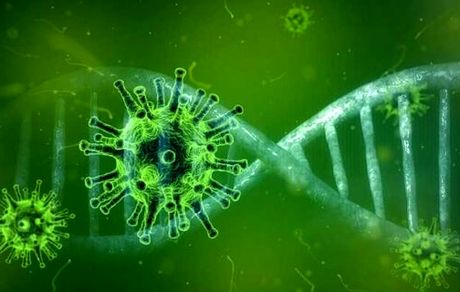 تایید تولید و استفاده اضطراری از داروی "توسیلیزوماب"برای بیماران کرونایی در هند