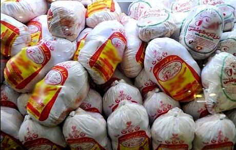 توزیع ۱۵۰۰ تن مرغ منجمد، برنج دولتی و شکر تنظیم بازار در ورامین