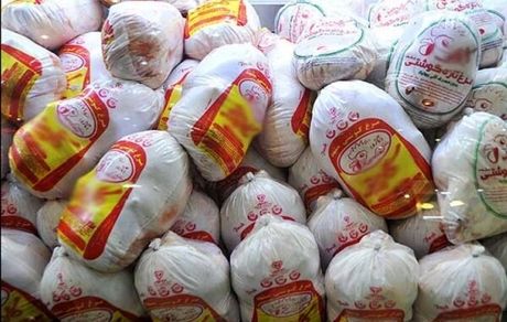 توزیع ۱۵۰۰ تن مرغ منجمد، برنج دولتی و شکر تنظیم بازار در ورامین