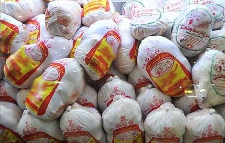 توزیع ۱۵۰۰ تن مرغ منجمد، برنج دولتی و شکر تنظیم بازار در ورامین