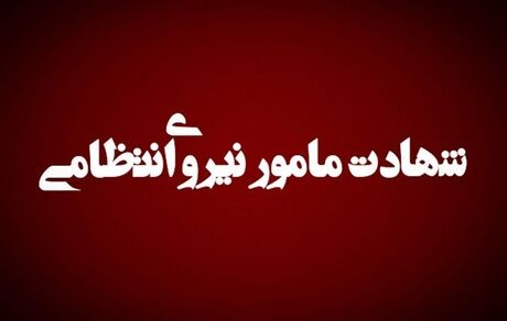 در ایرانشهر، مامور ناجا در درگیری با اشرار به شهادت رسید