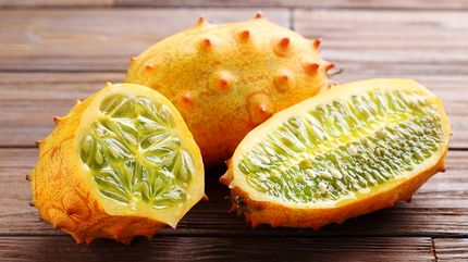 کیوانو (خربزه ی شاخدار)؛ فواید و خواص آن برای سلامتی