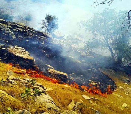 مهار آتش‌سوزی مراتع روستای گِرد بیشه بخش گندمان 