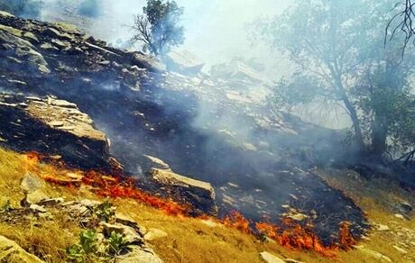 مهار آتش‌سوزی مراتع روستای گِرد بیشه بخش گندمان 