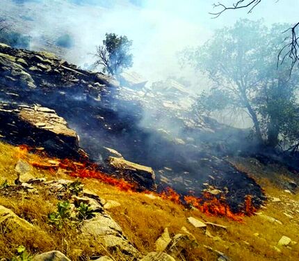 مهار آتش‌سوزی مراتع روستای گِرد بیشه بخش گندمان 