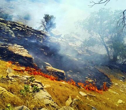 مهار آتش‌سوزی مراتع روستای گِرد بیشه بخش گندمان 