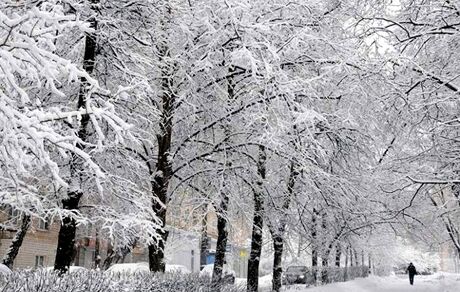 بارش برف در جاده‌های ۲۰ استان ادامه دارد
