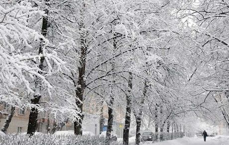بارش برف در جاده‌های ۲۰ استان ادامه دارد