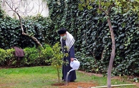 رهبر انقلاب، درخت کاشتند/عکس