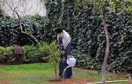 رهبر انقلاب، درخت کاشتند/عکس