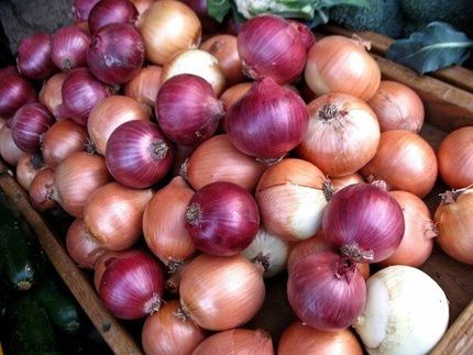 تعرفه ۱۸۰ درصدی برای صادرات پیاز!