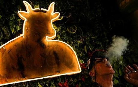 افتتاح اولین کافه ماری‌جوانا در هالیوود آمریکا 