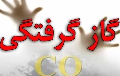 مسمومیت ۷ نفر در استان ایلام با گاز بی رنگ و بو