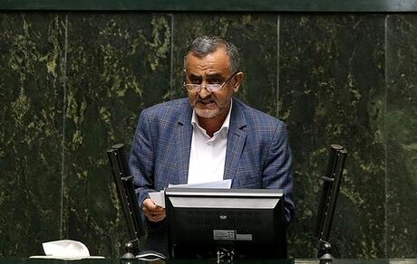 زارعی: دولت از امنیت غذایی کشور به خوبی صیانت کند