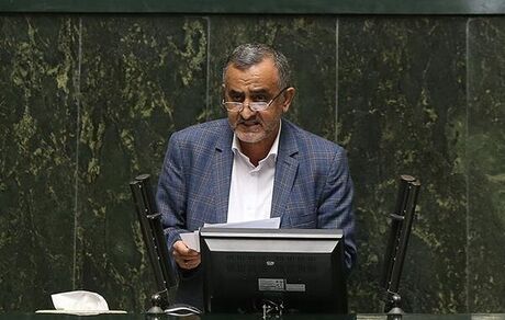 زارعی: دولت از امنیت غذایی کشور به خوبی صیانت کند