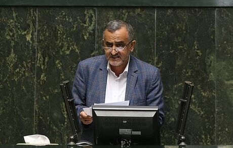 زارعی: دولت از امنیت غذایی کشور به خوبی صیانت کند