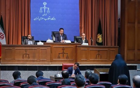 
شبنم نعمت زاده: من آقازاده نیستم/ ۶ شرکت و ۵۰۰ حساب بانکی دارم
