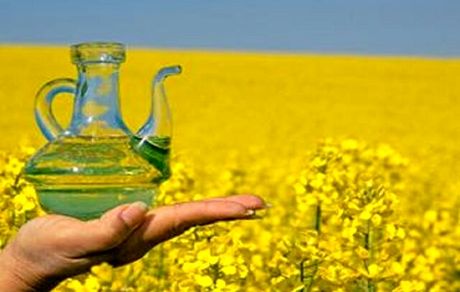 ۹۳ درصد روغن داخل کشور به واردات وابسته است