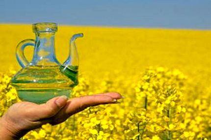 ۹۳ درصد روغن داخل کشور به واردات وابسته است