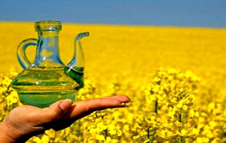 ۹۳ درصد روغن داخل کشور به واردات وابسته است