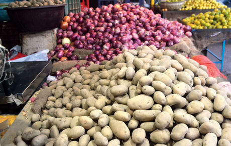 لغو ممنوعیت صادرات سیب زمینی و پیاز از هرمزگان