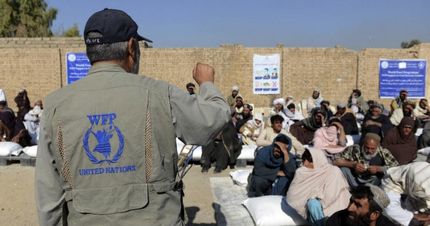 دسترسی تنها ۷ درصد مردم افغانستان به غذای کافی