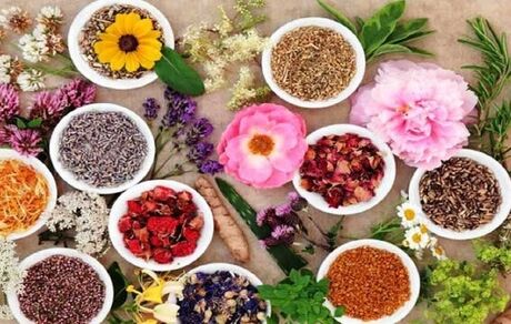 صادرات نزدیک یه نیم میلیارد دلار گیاهان دارویی به بازارهای هدف
