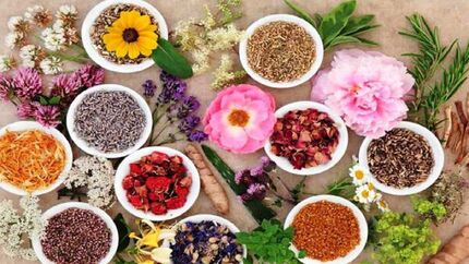 صادرات نزدیک یه نیم میلیارد دلار گیاهان دارویی به بازارهای هدف