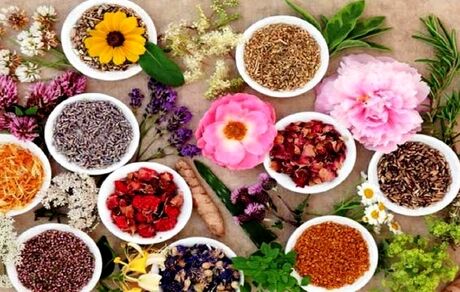 صادرات نزدیک یه نیم میلیارد دلار گیاهان دارویی به بازارهای هدف