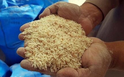 عرضه ۱۵۰ هزار تن برنج وارداتی با نرخ مصوب  