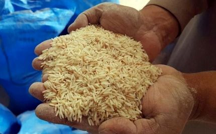 عرضه ۱۵۰ هزار تن برنج وارداتی با نرخ مصوب  