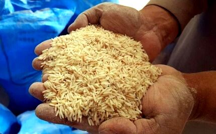عرضه ۱۵۰ هزار تن برنج وارداتی با نرخ مصوب  