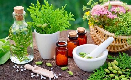 تدوین ضوابط جدید صادرات گیاهان دارویی
