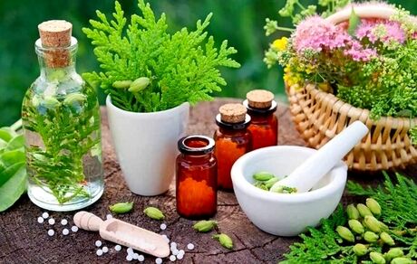 تدوین ضوابط جدید صادرات گیاهان دارویی