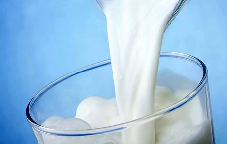 تاثیر عجیب شیر در تشدید بیماری ام اس!