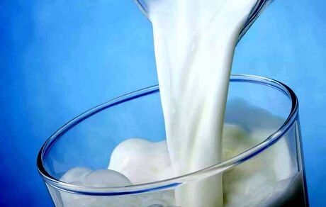 تاثیر عجیب شیر در تشدید بیماری ام اس!