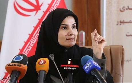 گمانه زنی جدید در مورد کاندیداتوری یک خانم از دولت