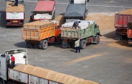 عرضه نهاده‌های دامی فقط از طریق سامانه بازارگاه 