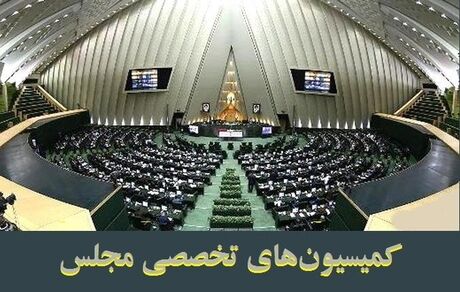 طرح رفع انحصار زبان انگلیسی در نظام آموزش همگانی در دستور کار کمیسیون‌های تخصصی مجلس