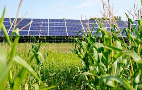 یک فیلیپینی در زمینه ساخت پنل‌های خورشیدی انقلاب ایجاد کرد