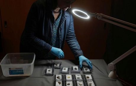 گردنبند ۱۳۰۰ ساله «کمیاب» در بریتانیا کشف شد