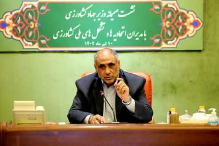دولت، برنج مازاد شمال را خریداری می‌کند