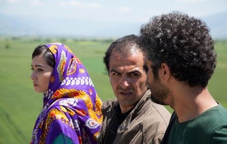 
«تومان» هم اکران آنلاین می‌شود
