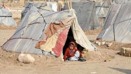تعداد فقیر در افغانستان در زمان طالبان ۲ برابر شد
