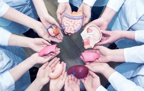 دختر نوجوان مرگ مغزی به سه بیمار جان دوباره بخشید