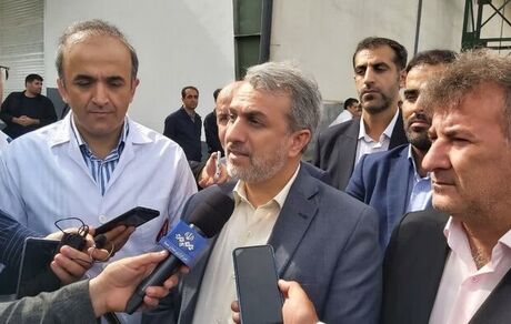 فاطمی امین: وظیفه خود در زمینه واردات خودرو را انجام داده‌ایم