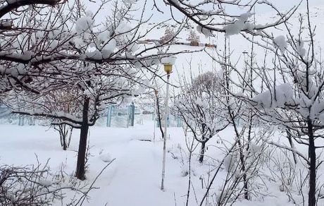 بارش ۲۵ سانتی برف در کوهرنگ