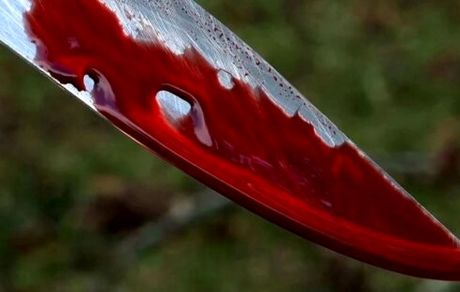 مسافر قطار مشهد به سمنان، مهماندار راه آهن را مجروح کرد