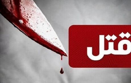 دستگیری عامل جنایت در جنوب تهران